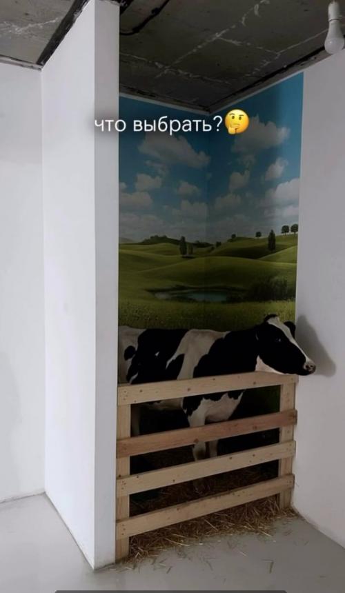 Девушка попросила подписчиков придумать, что делать в этом углу и тут началось. 06