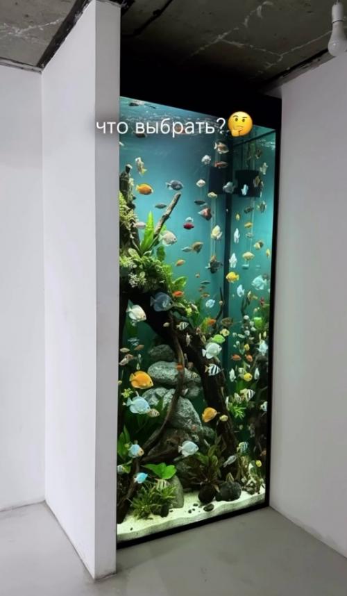 Девушка попросила подписчиков придумать, что делать в этом углу и тут началось. 04