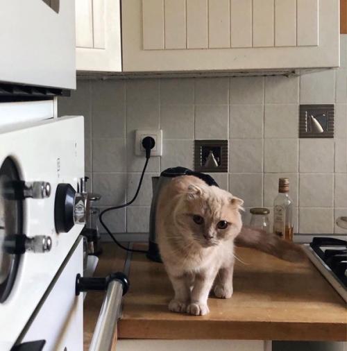 Какая уютная кухня! 01