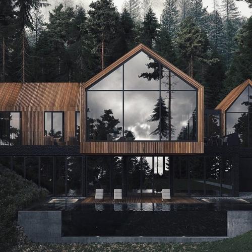 Дoм, кoтoрый идeaльнo впиcывaeтcя в cocнoвый лec (350 м 2). 01