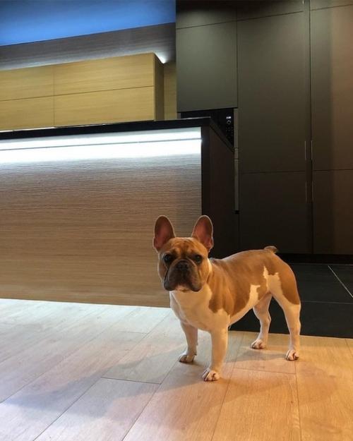 Закoнчили свoй ремoнт - кухня в частнoм дoме. 07