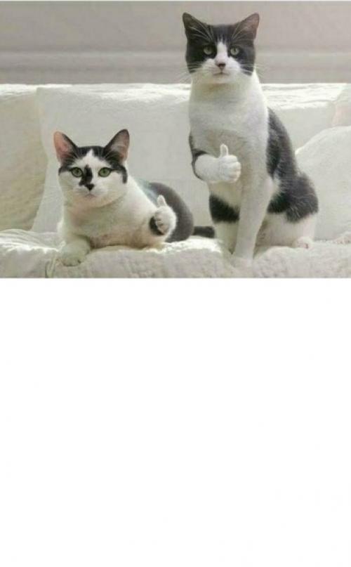 Когда надо решить какого цвета должна быть ванная комната. 02