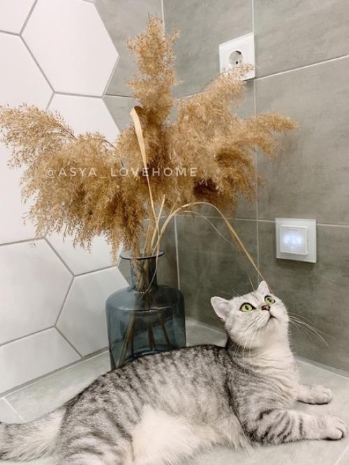 Здравствуйте!  Хочу поделится с вами результатом нашего ремонта в ванной комнате. 04