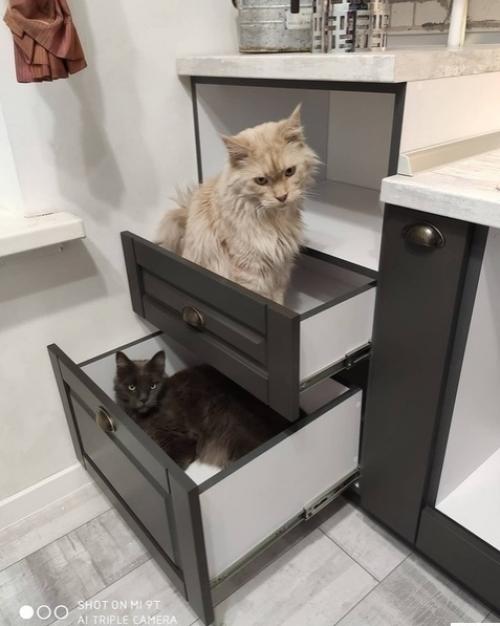 Ничeгo лишнeгo mнe нрaвитcя. 05