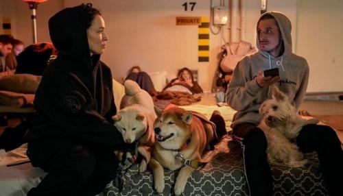 Пытаются спастись всеми силами. 03