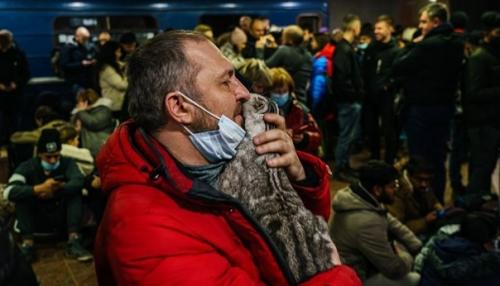 Пытаются спастись всеми силами. 01