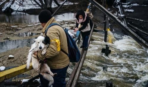 Пытаются спастись всеми силами.