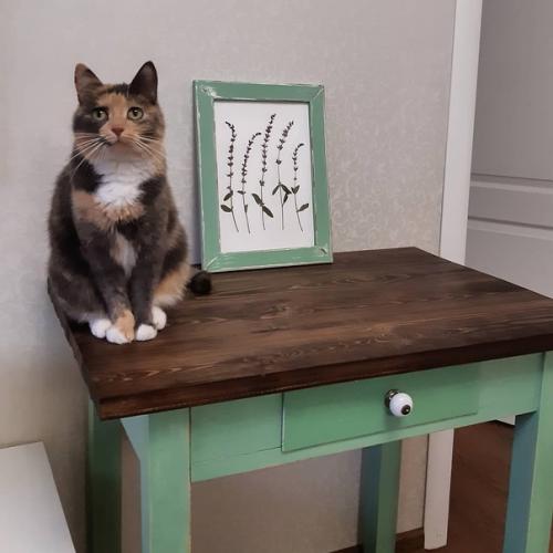 Спасли столик со старой сдачи.