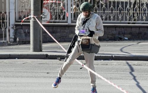 Пытаются спастись всеми силами. 02