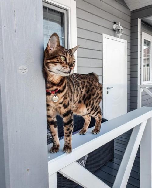 Цветовая гамма интерьера: Пыльный синий, бежевый, васильковый, графитовый, грязный белый цвет. 05