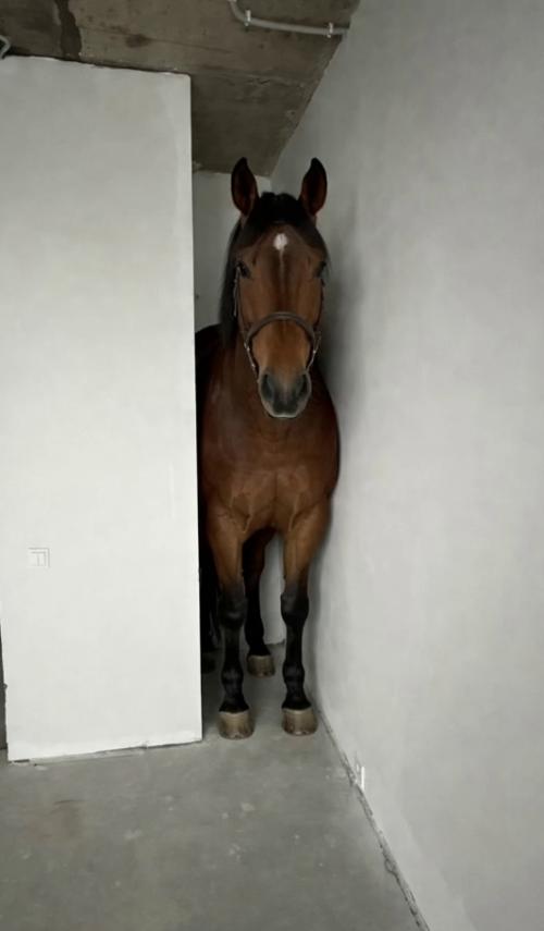 Как думаете, какой вариант оформления угла самый смешной? 01