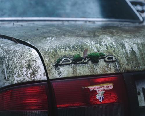 Россия глазами фотографа виктора могилата. 01