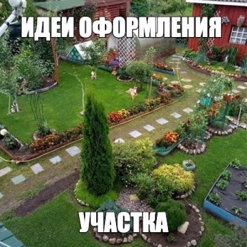 Группа, где сидят все бывалые садоводы: здесь делятся опытом и обсуждают дачные вопросы. 03