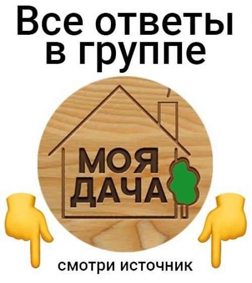 Группа, где сидят все бывалые садоводы: здесь делятся опытом и обсуждают дачные вопросы. 05