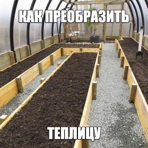 Группа, где сидят все бывалые садоводы: здесь делятся опытом и обсуждают дачные вопросы. 02