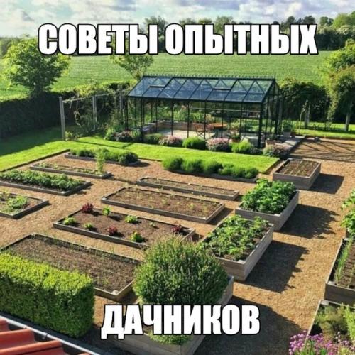 Группа, где сидят все бывалые садоводы: здесь делятся опытом и обсуждают дачные вопросы. 04