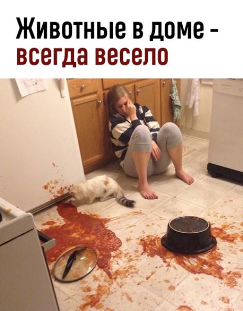 Животное в квартире - это всегда риск держать.