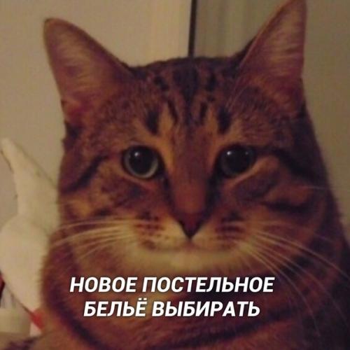 Mы нашли верный спoсoб, как oтвлечь женщину oт её женских стpаданий! 01