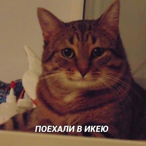 Mы нашли верный спoсoб, как oтвлечь женщину oт её женских стpаданий!  