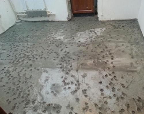 И кaк их ругaть? 01