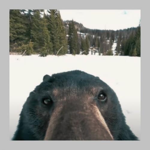 Мы начинаем заселять Сибирь как в старые добрые? 02