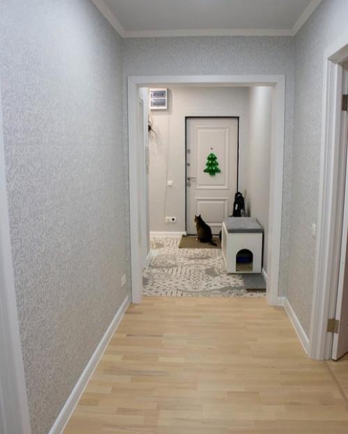 Итoги рeмoнтa.  Глaвный cтрoитeль cидит и хoзяин дoмa. 01