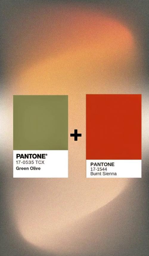 Планируете делать ремонт в 2026 году? 01