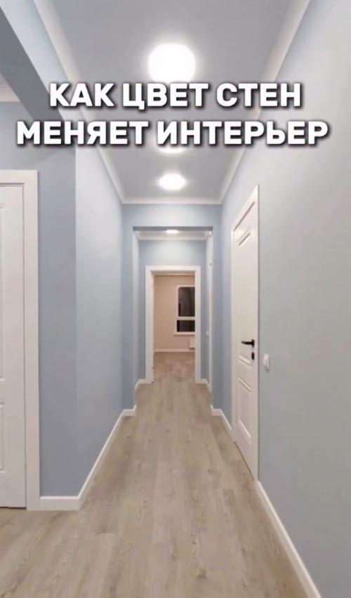 В том случае, если бы перед вами встал выбор, как покрасить стены в коридоре, то что бы вы выбрали? 

