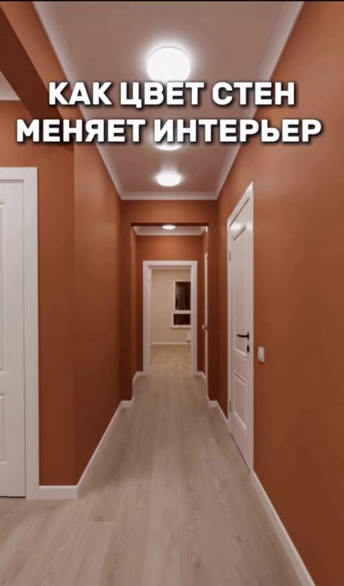 В том случае, если бы перед вами встал выбор, как покрасить стены в коридоре, то что бы вы выбрали? 01
