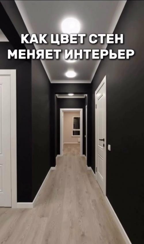 В том случае, если бы перед вами встал выбор, как покрасить стены в коридоре, то что бы вы выбрали? 06