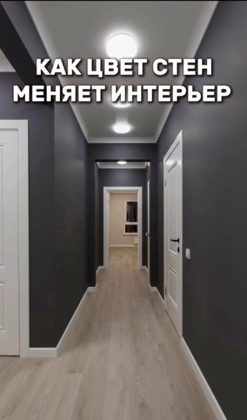 В том случае, если бы перед вами встал выбор, как покрасить стены в коридоре, то что бы вы выбрали? 05