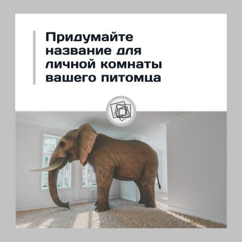 Лишь в том случае, если бы у вашего питомца была своя собственная комната, то как бы она называлась? 

