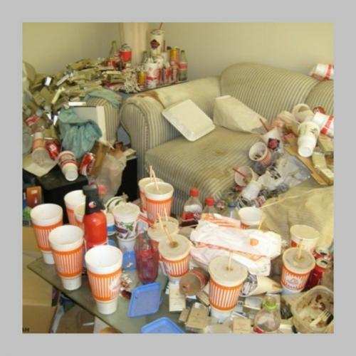 Учёные выяснили: бардак дома может быть признаком высокого интеллекта. 03