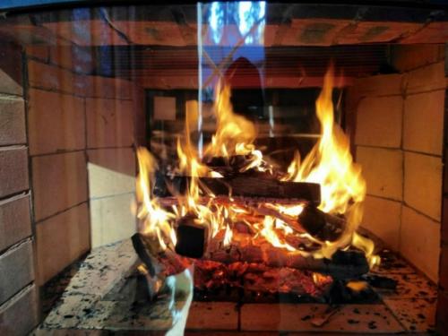 Камин для дачи от подписчика из Санкт-петербурга. 02