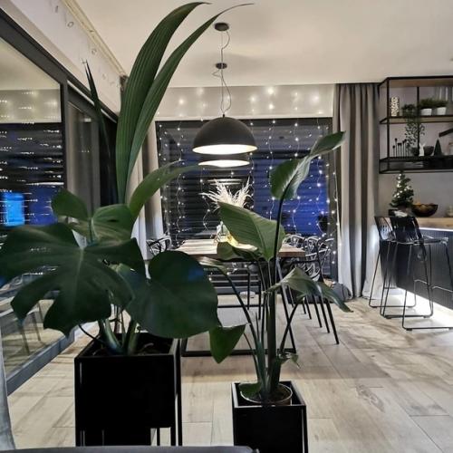 Современные архитекторы толк в прекрасном знают! 02