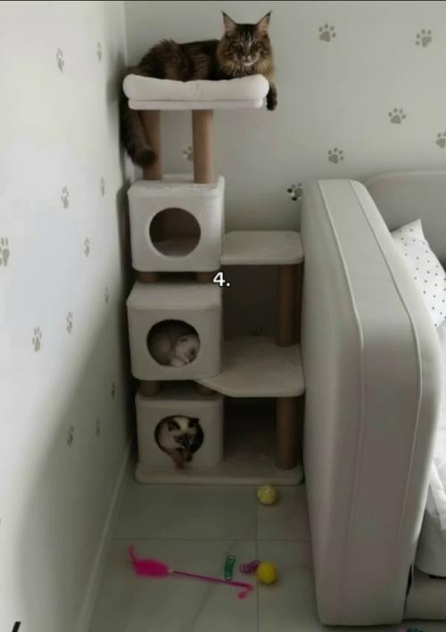 А чем бы вы этот пустующий уголок дополнили? 04