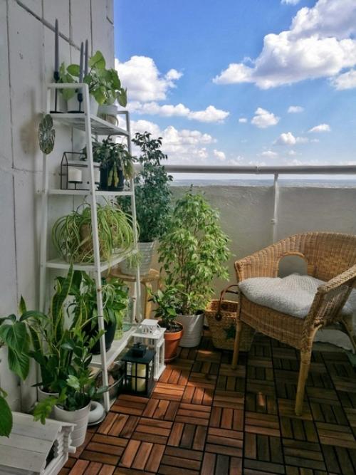 Оазис на балконе своими руками. 01