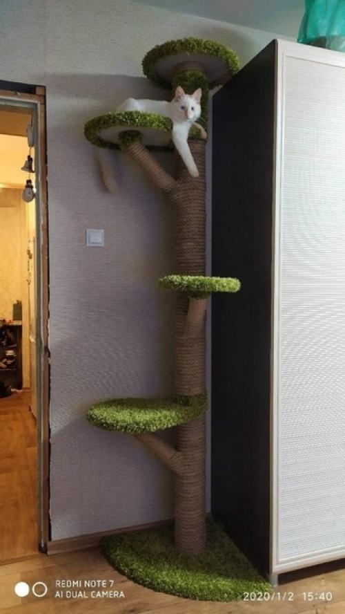 Не забудьте прикрепить такое котодерево, чтобы тыгыдык не свалил конструкцию. 05