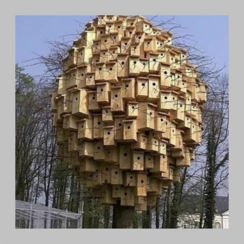 Деревянные пятиэтажки - теперь официально можно. 02