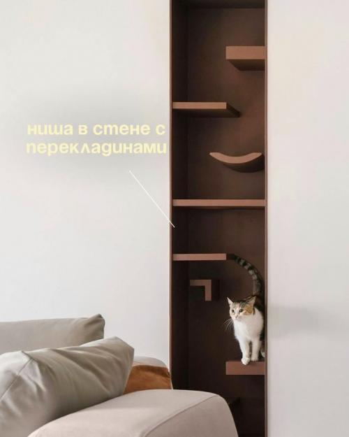 Запоминайте, как сделать ремонт для своих любимчиков. 03