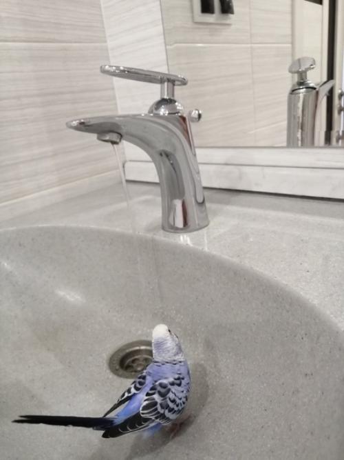 Минусы этого ремонта: 05