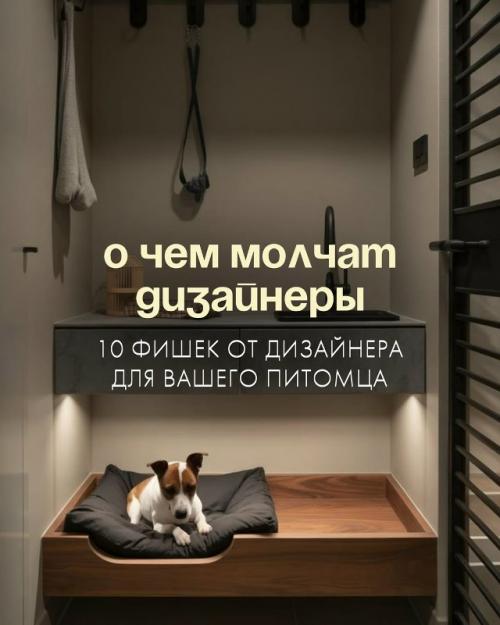 Запоминайте, как сделать ремонт для своих любимчиков.

