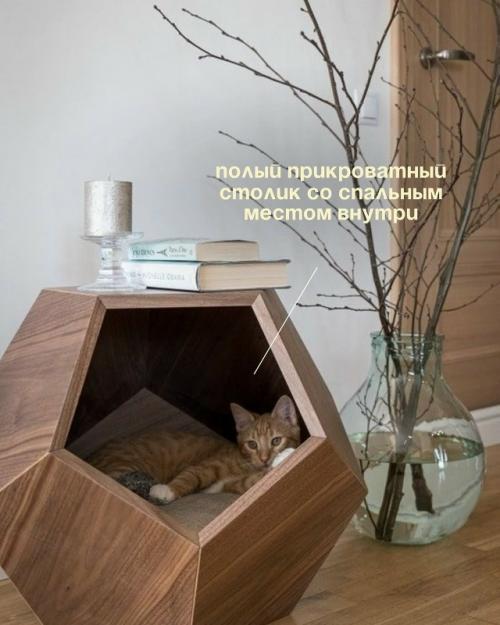 Запоминайте, как сделать ремонт для своих любимчиков. 05