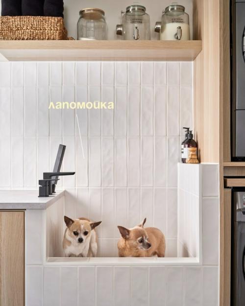 Запоминайте, как сделать ремонт для своих любимчиков. 07