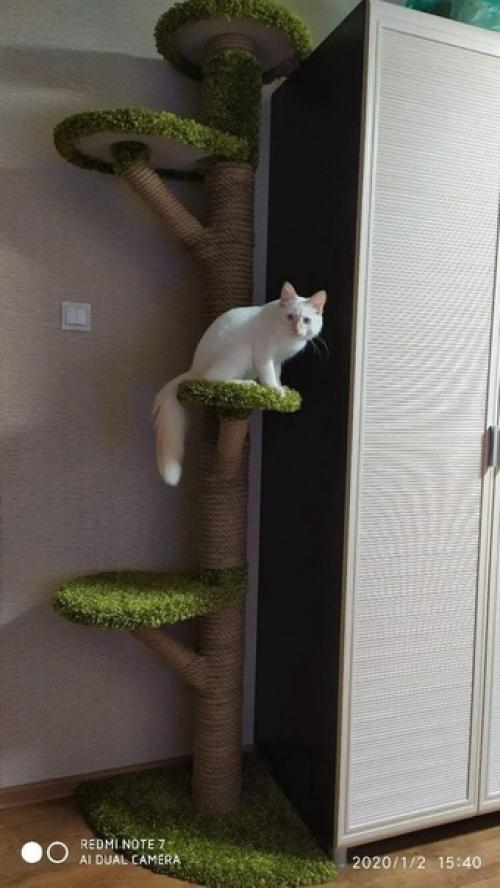 Не забудьте прикрепить такое котодерево, чтобы тыгыдык не свалил конструкцию. 04