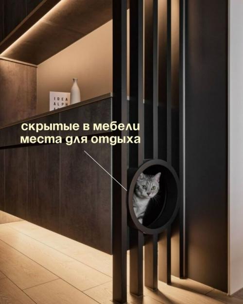 Запоминайте, как сделать ремонт для своих любимчиков. 02