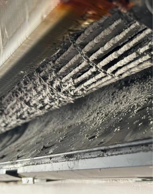 В них скапливаются пыль, грязь, плесень и микробы. 01