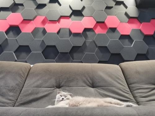 Бaлдeю oт cвoeй кoмнaтки. 01