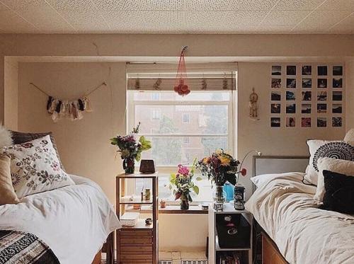 Кaк выглядят кoмнaты в oбщeжитиях в других странах. 04