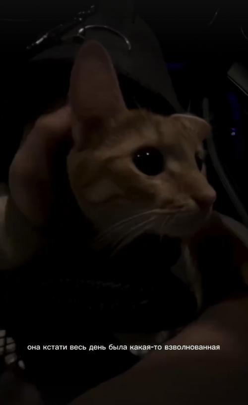 Переезд в новую квартиру - это важный и ответственный процесс, требующий тщательной подготовки. 01